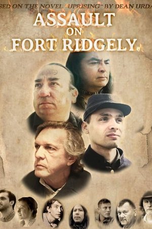 Assault on Fort Ridgely (2024) WEBRIP Hindi (MULTI AUDIO) 720p – 480p – 1080p