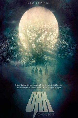 Never Any Blue (2025) WEBRIP Hindi (MULTI AUDIO) 720p – 480p – 1080p